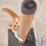 Integrity in Business