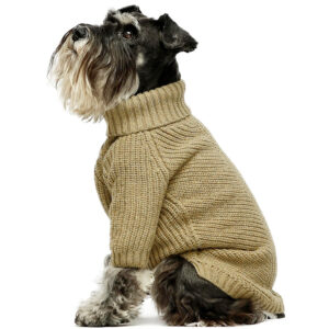 Dog Sweater